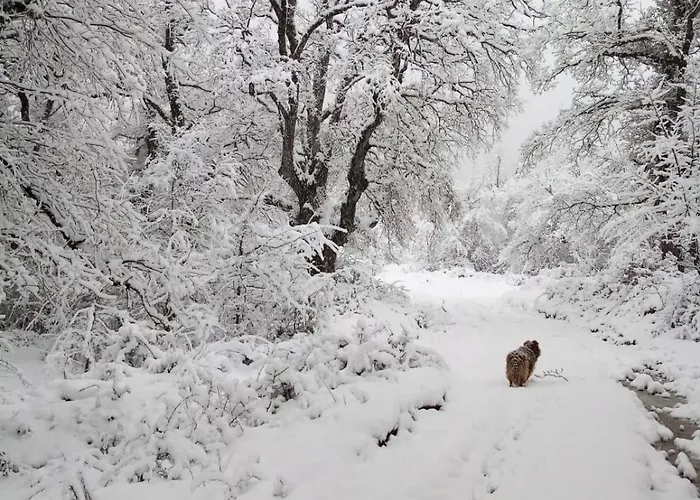 Biltegi Etxea * Alda